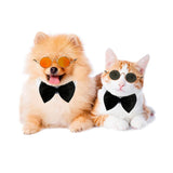 Óculos Pet - Loja Galak