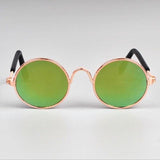 Óculos Pet - Loja Galak